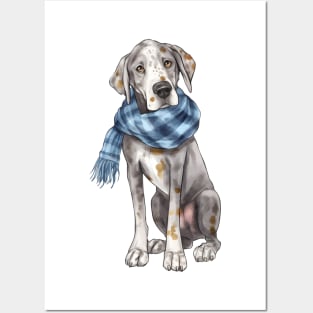 Watercolor Cozy Great Dane Dog Posters and Art